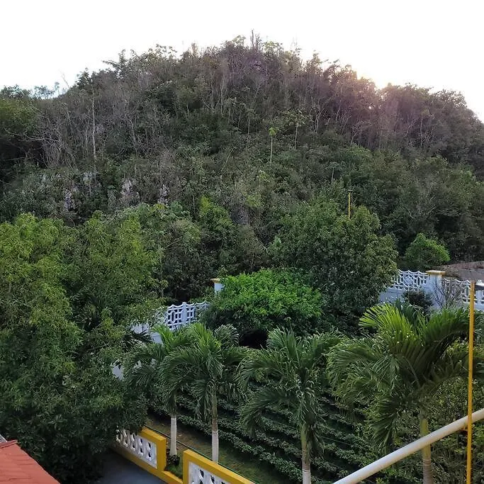 Mountain View Peaceful Abodes Apartment Hatfield Jamaica